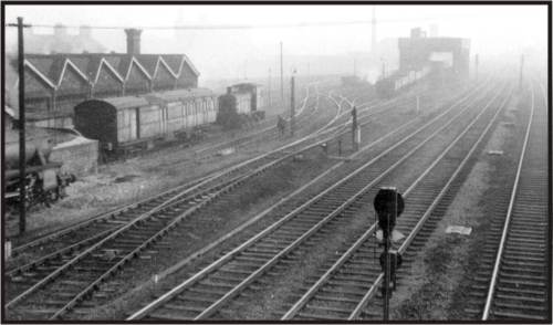 Mirfield Sheds