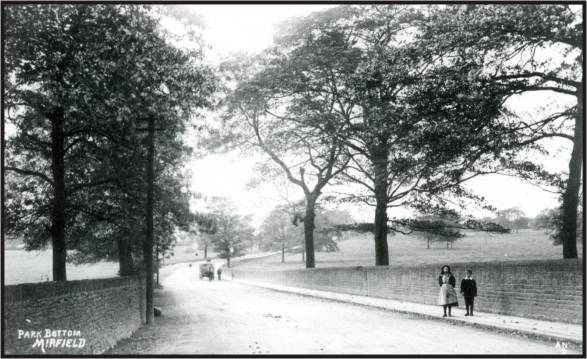 Mirfield Park Bottom