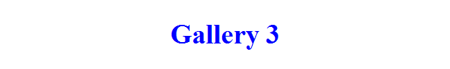 Gallery 3