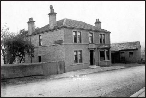 Mirfield Pear Tree