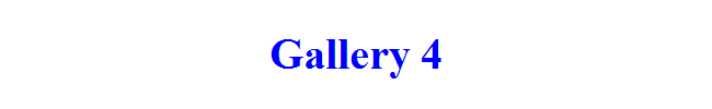 Gallery 4