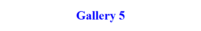 Gallery 5