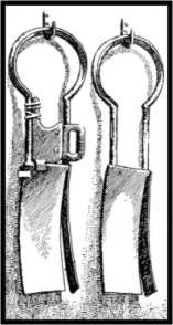 Cropping Shears