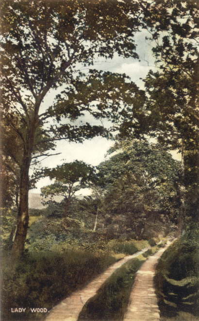 Lady Wood