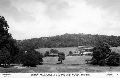 Wood Bottom2